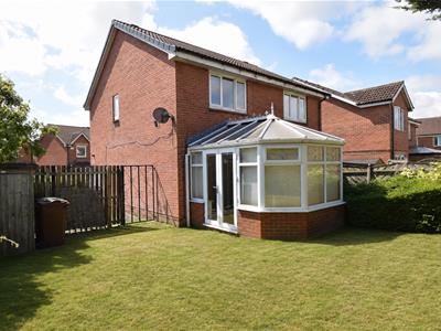 Picture 11